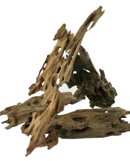 Dragon Wood 1kg - smoczy korzeń ciemny z otworami i szczelinami