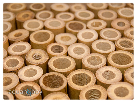 BAMBOO TUBE 17-22mm rurka bambusowa dla krewetek