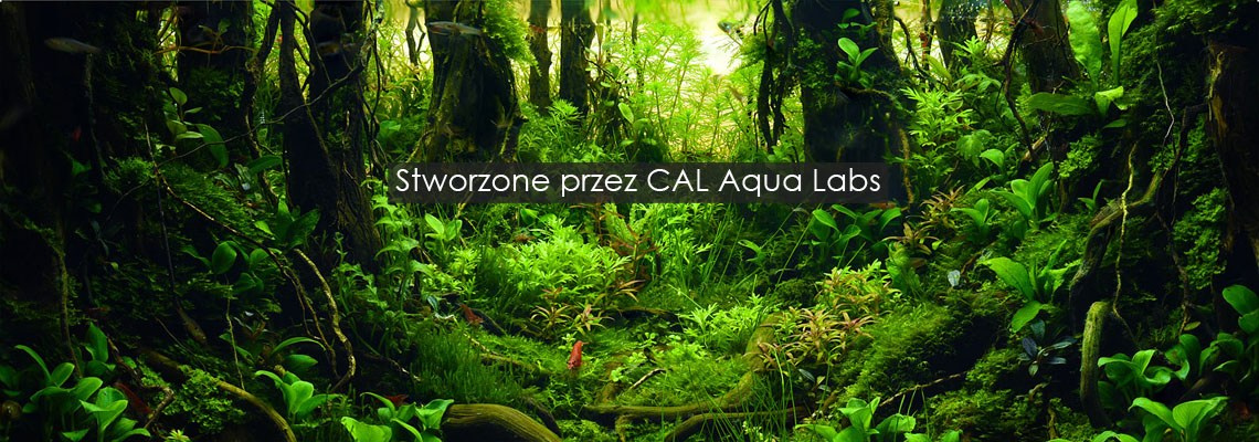 CAL Aqua Labs Green Base XR 2L SUBSTRAT POD ŻWIR