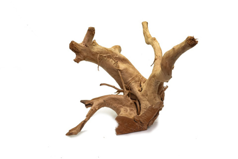 Korzeń DRIFTWOOD naturalny 40x38x38cm #95 Korzeń DRIFTWOOD naturalny 40x38x38cm #95