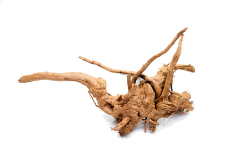 Korzeń DRIFTWOOD naturalny 35x22x16cm #72 Korzeń DRIFTWOOD naturalny 35x22x16cm #72