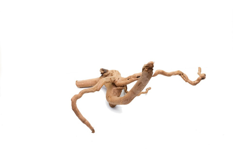 Korzeń DRIFTWOOD naturalny 45x28x23cm #42 Korzeń DRIFTWOOD naturalny 45x28x23cm #42