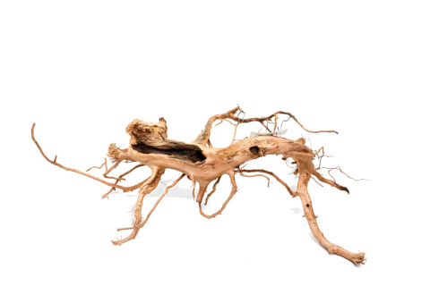 Korzeń DRIFTWOOD naturalny 49x28x13cm #56 Korzeń DRIFTWOOD naturalny 49x28x13cm #56