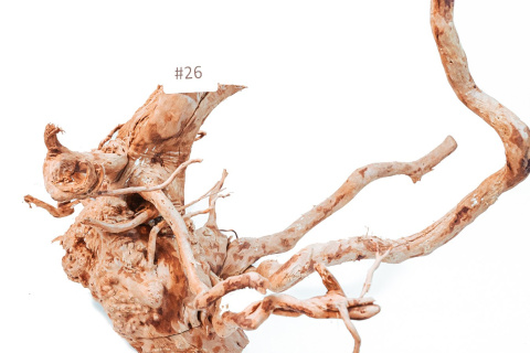 Korzeń DRIFTWOOD naturalny 53x45x36cm #26 Korzeń DRIFTWOOD naturalny 53x45x36cm #26