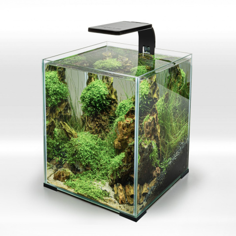 AQUAEL LEDDY SMART PLANT DAY&NIGHT 4,8W CZARNA AQUAEL LEDDY SMART PLANT DAY&NIGHT 4,8W CZARNA