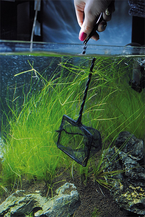 PROGROW FISH NET 15cm siatka PODBIERAK do ryb PROGROW FISH NET 15cm siatka PODBIERAK do ryb