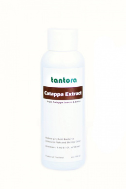 TANTORA Cattapa Extract 100ml wyciąg z ketapangu