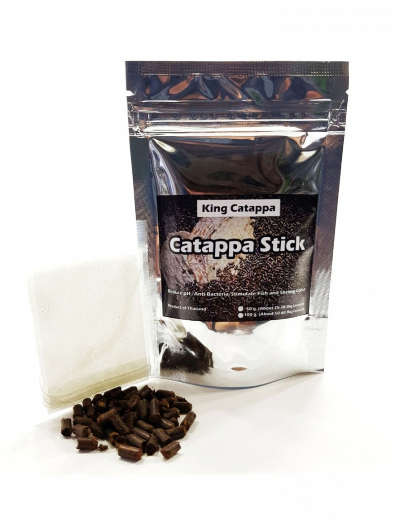 Tantora Cattapa King Stick 50g z liści ketapangu