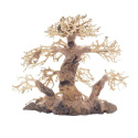 PROGROW Bonsai Tree BT2M 30x15x23cm drzewko