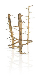 PROGROW TREE WOOD korzeń do akwarium 40-55cm
