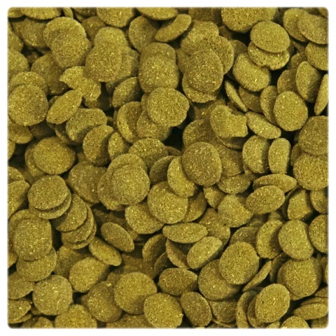 Pokarm dla Ryb Dennych Spirulina Glonojad Kirysek Algen Wafers 100g