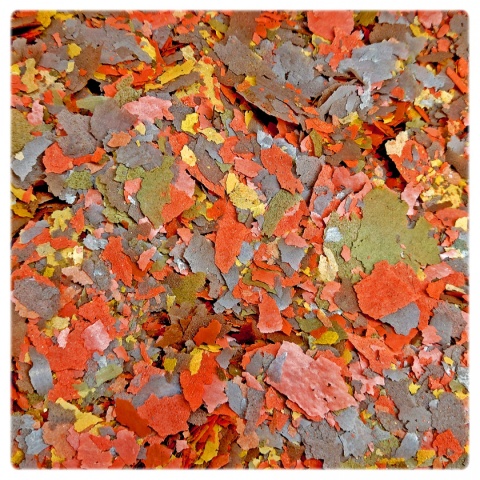 Glopex Basic-Mix 200 g – uniwersalny pokarm płatkowany dla ryb akwariowych