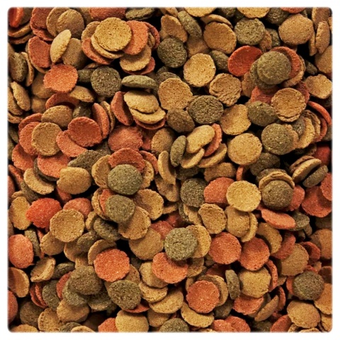 GLOPEX small WAFERS 1kg karma dla ryb dennych