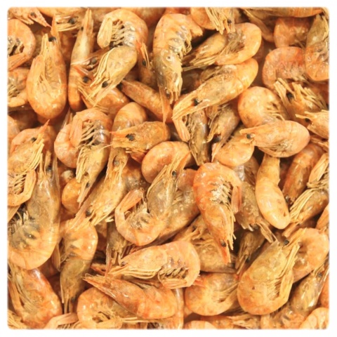 Glopex Krewetka Suszona 200 g – naturalny pokarm dla dużych ryb i żółwi