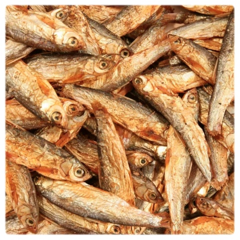 Glopex STINTE Suszona Rybka Stynka 200g – pokarm dla dużych ryb i żółwi