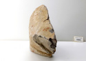 SAND STONE #002 skała do akwarium 7,8kg 24x22x11cm