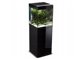 AQUAEL GLOSSY CUBE akwarium z oświetleniem 50x50x63cm