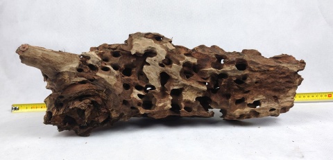 Korzeń Dragon Wood #017 46x18x24 cm 2,5kg