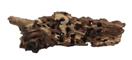 Korzeń Dragon Wood #017 46x18x24 cm 2,5kg