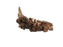 Korzeń Dragon Wood #017 46x18x24 cm 2,5kg