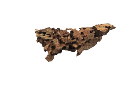 Korzeń Dragon Wood #017 46x18x24 cm 2,5kg