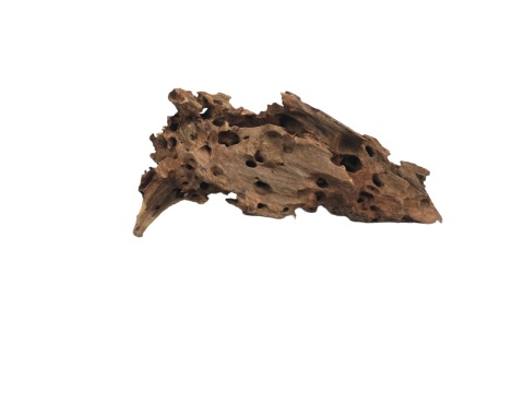 Korzeń Dragon Wood #017 46x18x24 cm 2,5kg