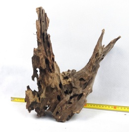 Korzeń Dragon Wood #019 30x35x16 cm 1,08kg