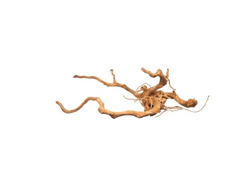 Korzeń Red Moor Wood #033 64x56x33 cm 1,36kg Korzeń Red Moor Wood #033 64x56x33 cm 1,36kg