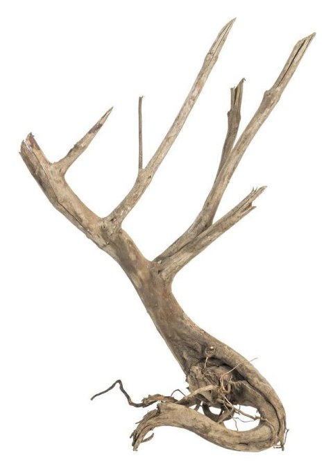 Fine Wood Stump 1kg - wysoki korzeń do akwarium rozgałęziony u dołu Fine Wood Stump 1kg - wysoki korzeń do akwarium rozgałęziony u dołu