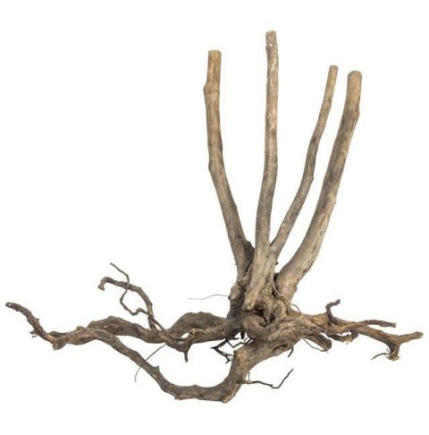 Fine Wood Stump 1kg - wysoki korzeń do akwarium rozgałęziony u dołu Fine Wood Stump 1kg - wysoki korzeń do akwarium rozgałęziony u dołu