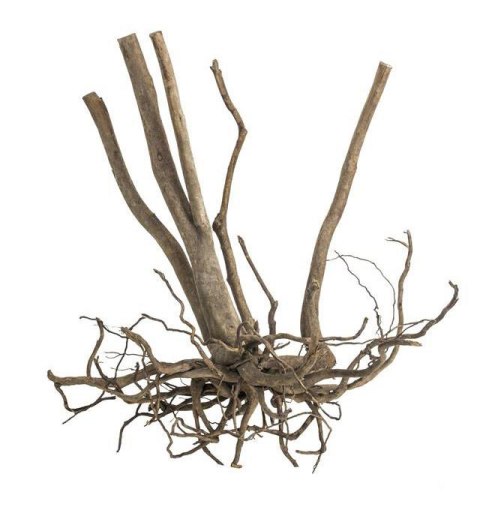 Fine Wood Stump 1kg - wysoki korzeń do akwarium rozgałęziony u dołu Fine Wood Stump 1kg - wysoki korzeń do akwarium rozgałęziony u dołu