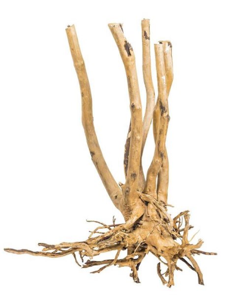 Fine Wood Stump 1kg - wysoki korzeń do akwarium rozgałęziony u dołu Fine Wood Stump 1kg - wysoki korzeń do akwarium rozgałęziony u dołu