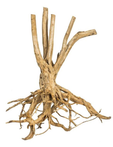 Fine Wood Stump 1kg - wysoki korzeń do akwarium rozgałęziony u dołu Fine Wood Stump 1kg - wysoki korzeń do akwarium rozgałęziony u dołu