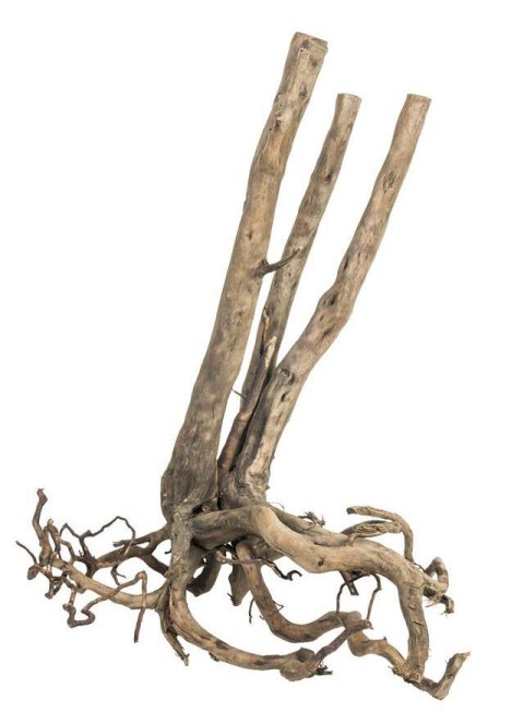 Fine Wood Stump 1kg - wysoki korzeń do akwarium rozgałęziony u dołu Fine Wood Stump 1kg - wysoki korzeń do akwarium rozgałęziony u dołu