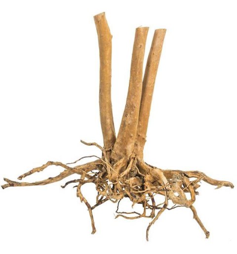 Fine Wood Stump 1kg - wysoki korzeń do akwarium rozgałęziony u dołu Fine Wood Stump 1kg - wysoki korzeń do akwarium rozgałęziony u dołu