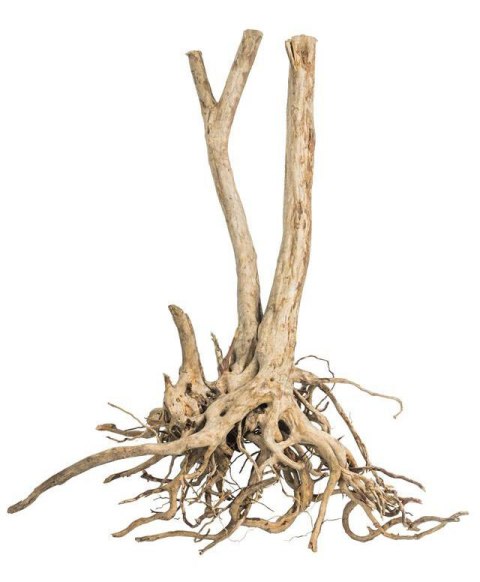 Fine Wood Stump 1kg - wysoki korzeń do akwarium rozgałęziony u dołu Fine Wood Stump 1kg - wysoki korzeń do akwarium rozgałęziony u dołu