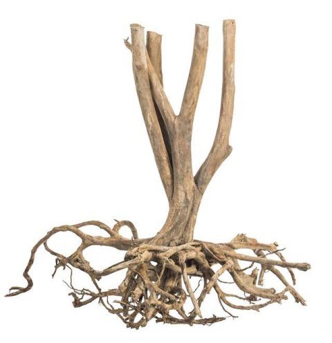 Fine Wood Stump 1kg - wysoki korzeń do akwarium rozgałęziony u dołu Fine Wood Stump 1kg - wysoki korzeń do akwarium rozgałęziony u dołu