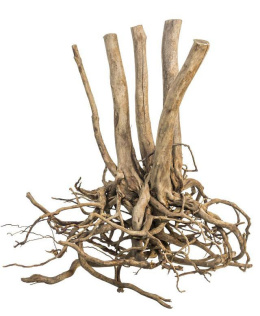 Fine Wood Stump 1kg - wysoki korzeń do akwarium rozgałęziony u dołu