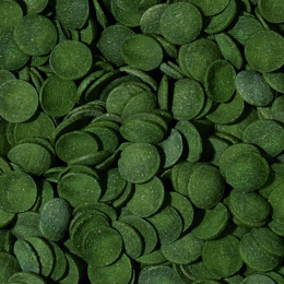 Tropical Green Algae Wafers 1000ml 450g pokarm wafelki dla glonojadów