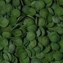 Tropical Green Algae Wafers 250ml 113g pokarm wafelki dla glonojadów