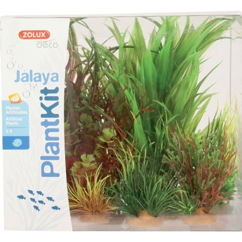 ZOLUX Dekoracja roślinna PLANTKIT JALAYA model 3 (352147)