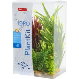 ZOLUX PLANTKIT IDRO N°4 (352153)