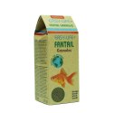 Easy-Life fantail granules 250 ml, pokarm dla ryb (ELS0250)