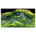 HOBBY Tło do akwarium Planted River/Green Rocks 100x50 (31044)