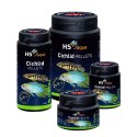 HS AQUA CICHLID PELLETS S 100 ML pokarm dla ryb (0030230)