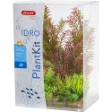 ZOLUX PLANTKIT IDRO N°1 (352150)