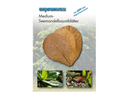 AQUAMAX Medium-Seemandelbaumblätter liść Ketapangu