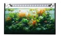 Lampa AquaLED Happet LB15 11W/36cm