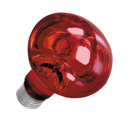 Żarówka Terra Night Heat Happet 100W Żarówka Terra Night Heat Happet 100W