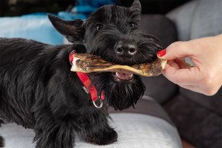 Dzik skóra 100% naturalna, 200g